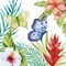 Treasures of the Tropics VI Poster Print by Kathleen Parr McKenna - Item # VARPDX34249HR